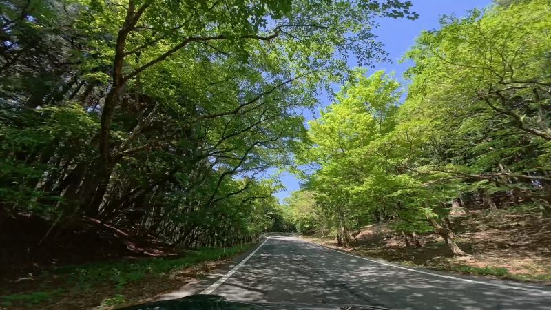 遠笠山道路
